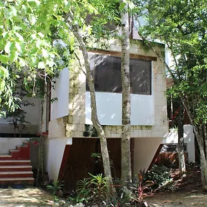  Luxury tent Casa Del Arbol At Duendes Mexico